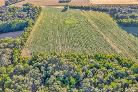 Tiny photo for 00 Pope Wray (Lot 1) Road, Turkey, NC 28341 (MLS # 762684)