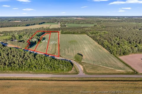 Photo of 00 Pope Wray (Lot 1) Road, Turkey, NC 28341 (MLS # 762684)