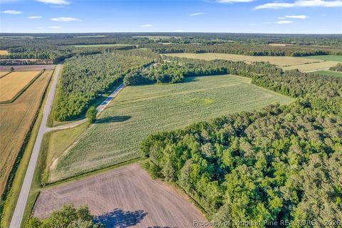 Tiny photo for 00 Pope Wray (Lot 1) Road, Turkey, NC 28341 (MLS # 762684)