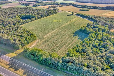 Tiny photo for 00 Pope Wray (Lot 1) Road, Turkey, NC 28341 (MLS # 762684)
