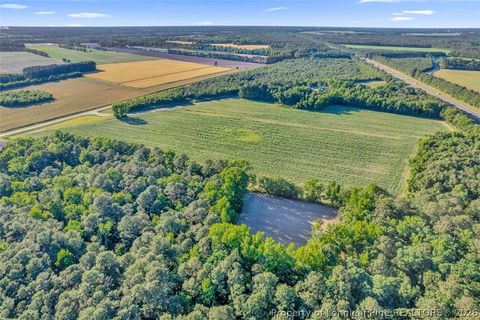 Tiny photo for 00 Pope Wray (Lot 1) Road, Turkey, NC 28341 (MLS # 762684)