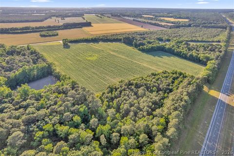 Tiny photo for 00 Pope Wray (Lot 1) Road, Turkey, NC 28341 (MLS # 762684)