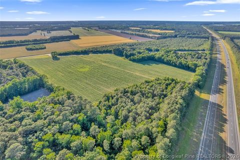 Tiny photo for 00 Pope Wray (Lot 1) Road, Turkey, NC 28341 (MLS # 762684)