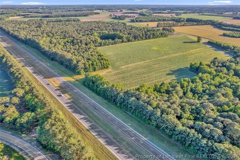 Tiny photo for 00 Pope Wray (Lot 1) Road, Turkey, NC 28341 (MLS # 762684)