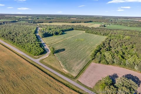 Tiny photo for 00 Pope Wray (Lot 1) Road, Turkey, NC 28341 (MLS # 762684)