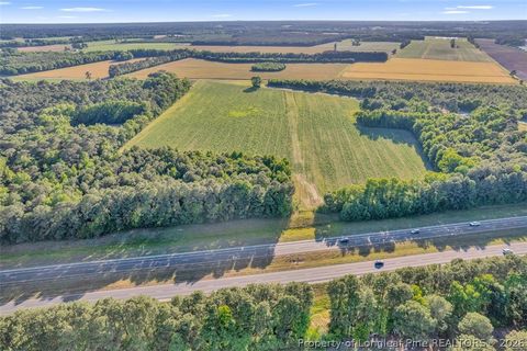 Tiny photo for 00 Pope Wray (Lot 1) Road, Turkey, NC 28341 (MLS # 762684)