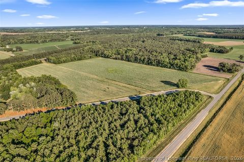 Tiny photo for 00 Pope Wray (Lot 1) Road, Turkey, NC 28341 (MLS # 762684)
