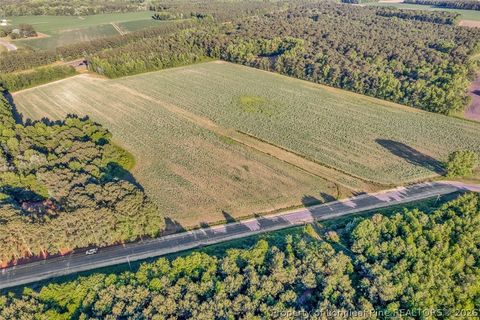 Tiny photo for 00 Pope Wray (Lot 1) Road, Turkey, NC 28341 (MLS # 762684)