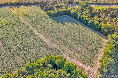 Tiny photo for 00 Pope Wray (Lot 1) Road, Turkey, NC 28341 (MLS # 762684)