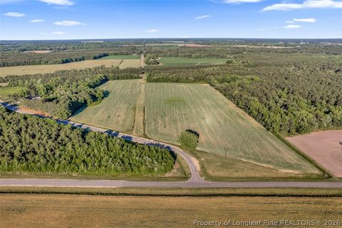 Tiny photo for 00 Pope Wray (Lot 1) Road, Turkey, NC 28341 (MLS # 762684)