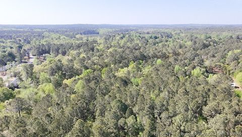 Tiny photo for tbd (5.05 acres) NC 27 Highway W, Sanford, NC 27332 (MLS # 761071)