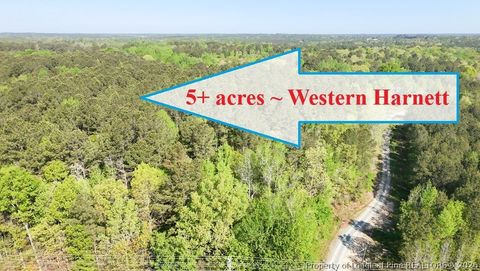 Photo of tbd (5.05 acres) NC 27 Highway W, Sanford, NC 27332 (MLS # 761071)