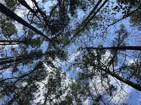 Tiny photo for tbd (5.05 acres) NC 27 Highway W, Sanford, NC 27332 (MLS # 761071)