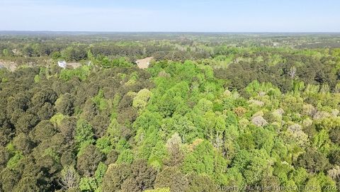 Tiny photo for tbd (5.05 acres) NC 27 Highway W, Sanford, NC 27332 (MLS # 761071)