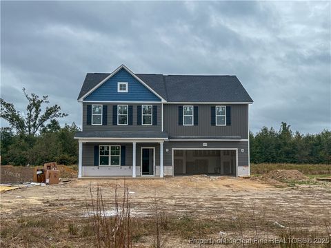 4045 Blue Springs (Lot 11) Road Red Springs NC 28377