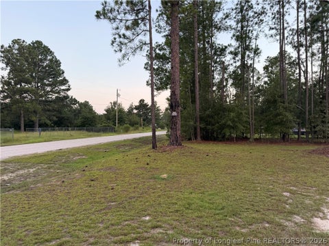 Tiny photo for 19420 Knapp Street, Laurinburg, NC 28352 (MLS # 768894)