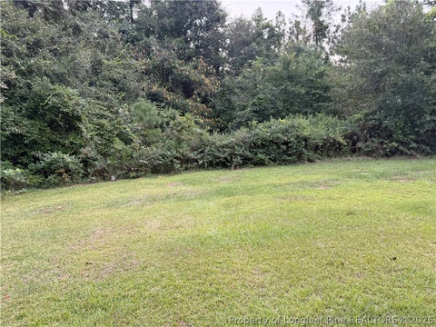 Tiny photo for 19420 Knapp Street, Laurinburg, NC 28352 (MLS # 768894)
