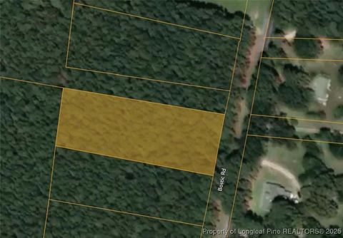 Tiny photo for TBD BOSTIC (LOT 8) Road, Laurinburg, NC 28352 (MLS # 754894)
