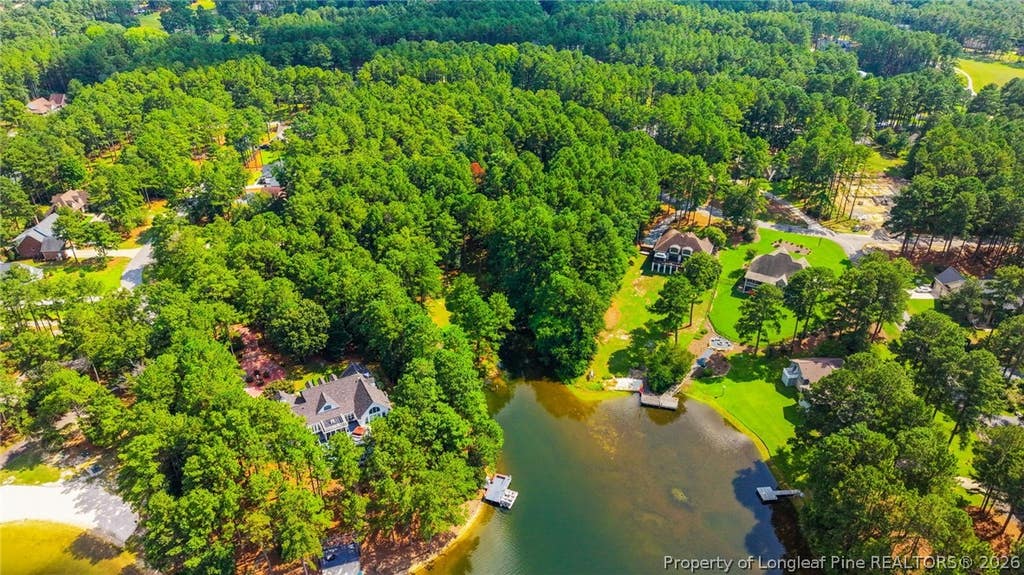 Photo of 16401 Lakeshore Drive, Wagram, NC 28396 (MLS # 767580)