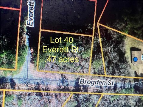 Everett Street Mount Olive NC 28365