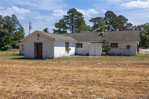 Tiny photo for 4400 Newton Grove Highway, Newton Grove, NC 28366 (MLS # 761226)