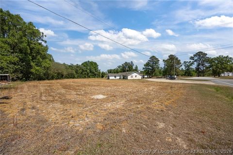 Tiny photo for 4400 Newton Grove Highway, Newton Grove, NC 28366 (MLS # 761226)