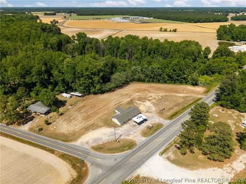 Tiny photo for 4400 Newton Grove Highway, Newton Grove, NC 28366 (MLS # 761226)