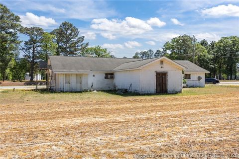 Tiny photo for 4400 Newton Grove Highway, Newton Grove, NC 28366 (MLS # 761226)