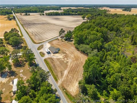 Tiny photo for 4400 Newton Grove Highway, Newton Grove, NC 28366 (MLS # 761226)