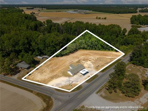 Tiny photo for 4400 Newton Grove Highway, Newton Grove, NC 28366 (MLS # 761226)