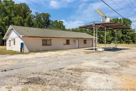 Photo of 4400 Newton Grove Highway, Newton Grove, NC 28366 (MLS # 761226)