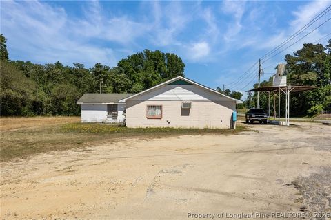 Tiny photo for 4400 Newton Grove Highway, Newton Grove, NC 28366 (MLS # 761226)