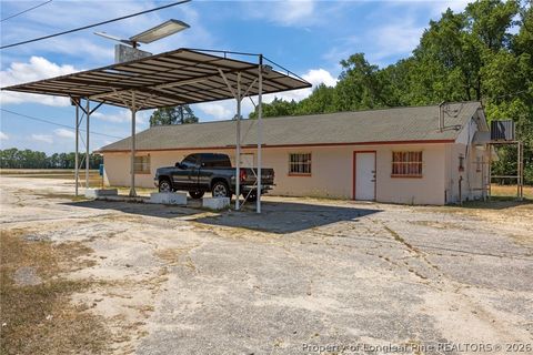 Tiny photo for 4400 Newton Grove Highway, Newton Grove, NC 28366 (MLS # 761226)