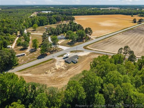 Tiny photo for 4400 Newton Grove Highway, Newton Grove, NC 28366 (MLS # 761226)