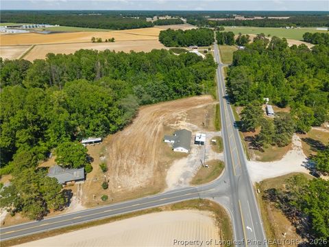 Tiny photo for 4400 Newton Grove Highway, Newton Grove, NC 28366 (MLS # 761226)
