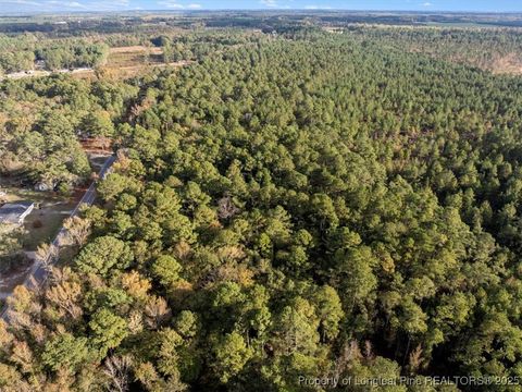 Tiny photo for N. Shannon Road, Red Springs, NC 28377 (MLS # 752457)