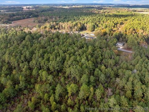 Tiny photo for N. Shannon Road, Red Springs, NC 28377 (MLS # 752457)