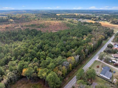 Tiny photo for N. Shannon Road, Red Springs, NC 28377 (MLS # 752457)