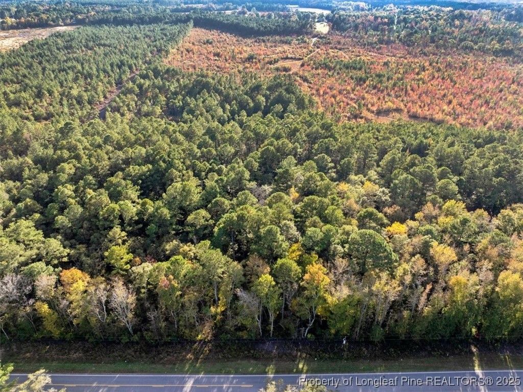 Photo of N. Shannon Road, Red Springs, NC 28377 (MLS # 752457)