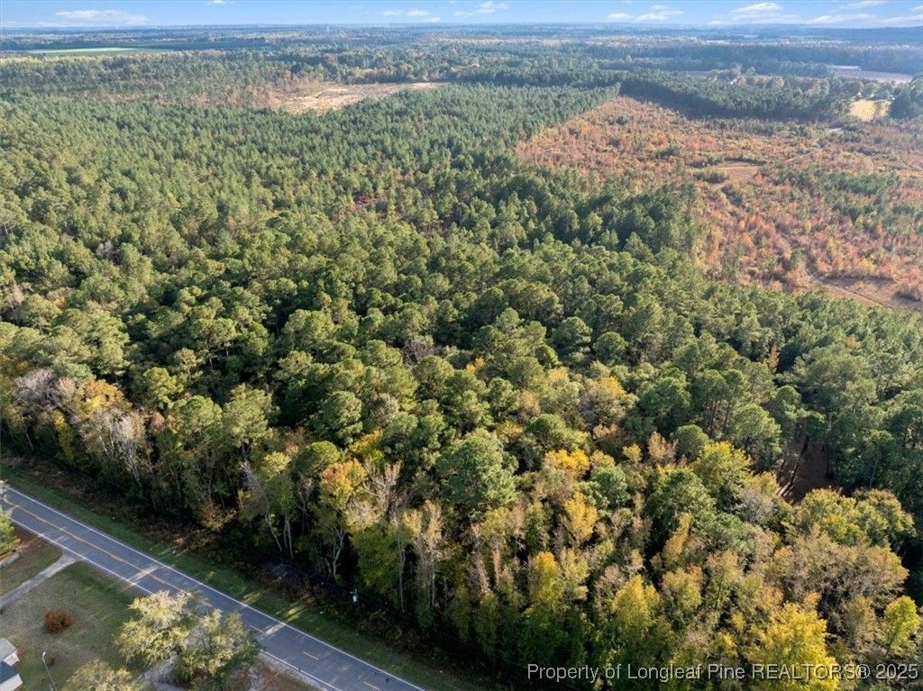 Photo of N. Shannon Road, Red Springs, NC 28377 (MLS # 752457)