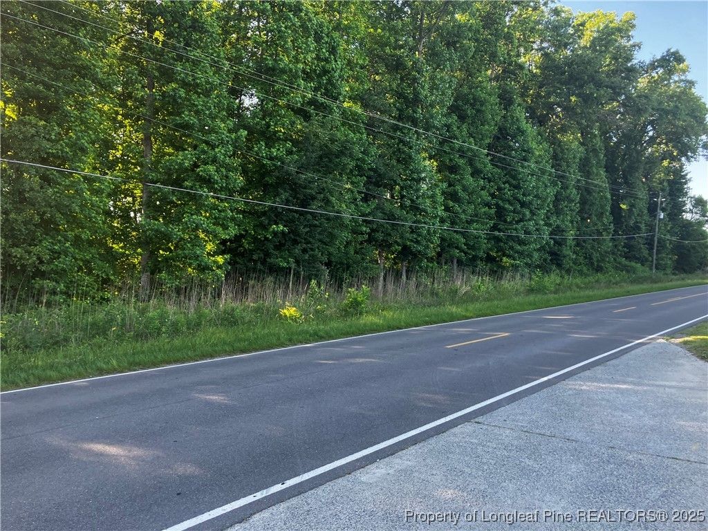 Photo of 0 Lemon Springs Road, Sanford, NC 27332 (MLS # 744190)