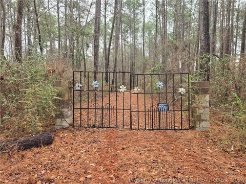 Photo of 488 Green Street, Parkton, NC 28371 (MLS # 757100)