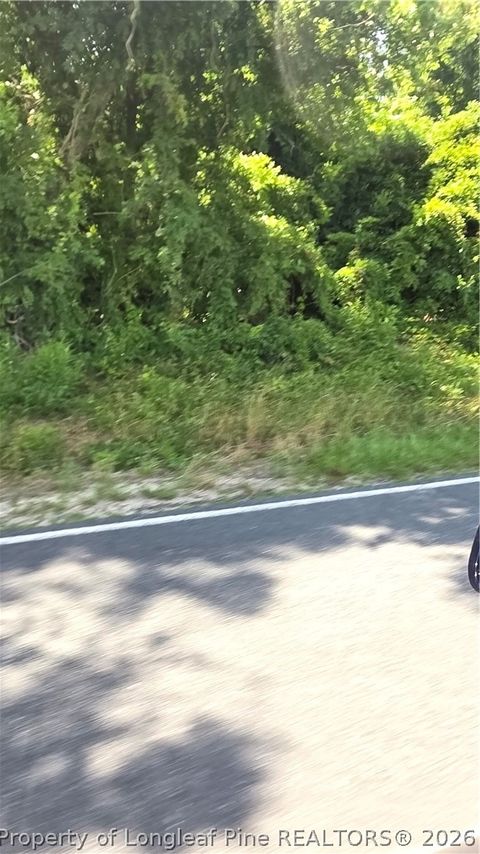Photo of Lakewood School Road, Salemburg, NC 28385 (MLS # 765509)