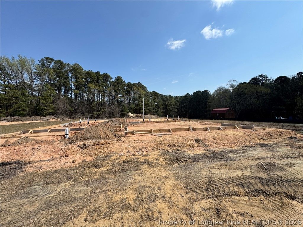Photo of 454 James Street, Vass, NC 28394 (MLS # 760025)