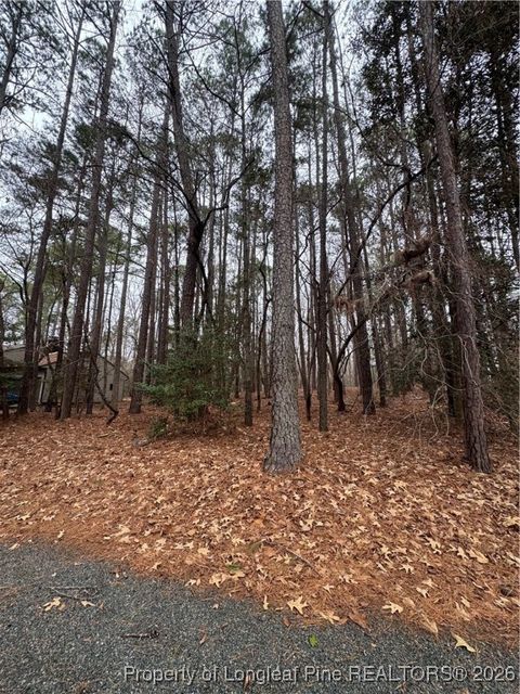 Tiny photo for 1790 Irish Boulevard, Sanford, NC 27332 (MLS # 755885)