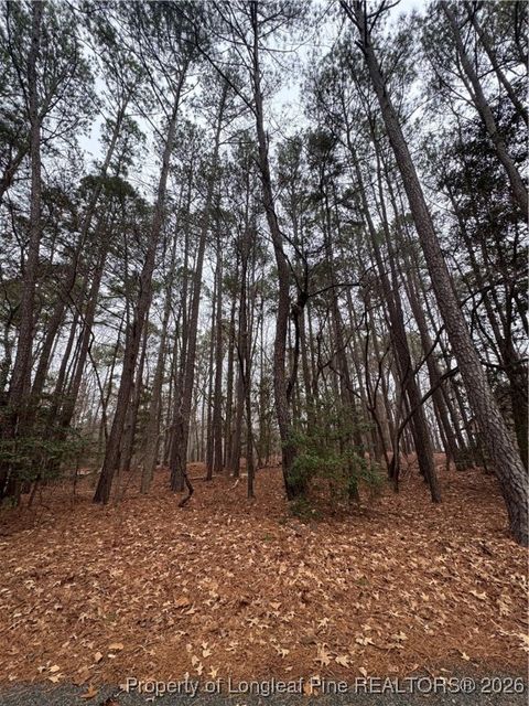 Tiny photo for 1790 Irish Boulevard, Sanford, NC 27332 (MLS # 755885)