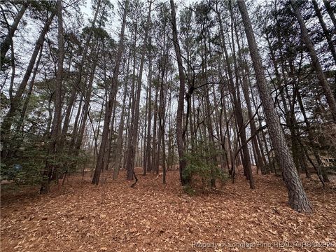 Tiny photo for 1790 Irish Boulevard, Sanford, NC 27332 (MLS # 755885)