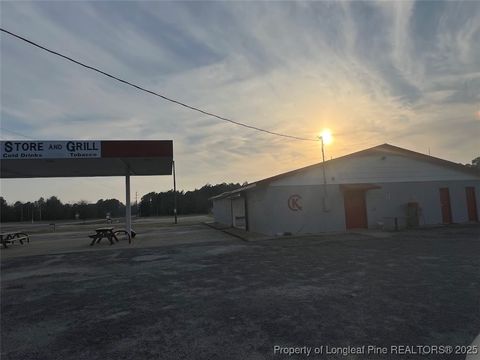 Tiny photo for 13129 NC Highway 242, Elizabethtown, NC 28337 (MLS # 740533)