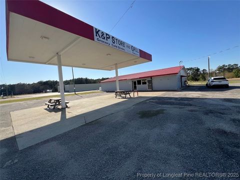 Tiny photo for 13129 NC Highway 242, Elizabethtown, NC 28337 (MLS # 740533)