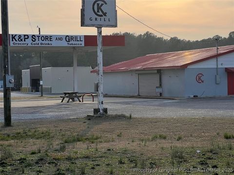 Tiny photo for 13129 NC Highway 242, Elizabethtown, NC 28337 (MLS # 740533)